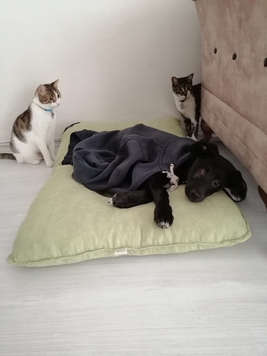 WhatsApp Image 2020-09-25 at 13.23.03