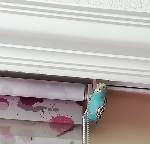 9530c81b-a116-4e6b-b76a-ff6dd92d9083