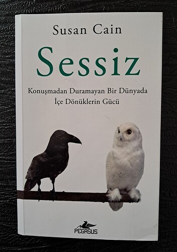 sessiz