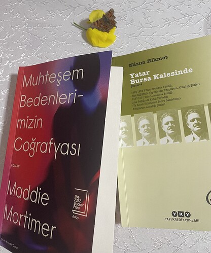 görüntü