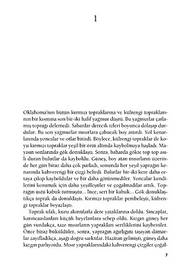 Gazap Üzümleri İletişim