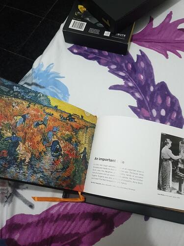 van_gogh__struggles__success_a_1618623698_4fa90ed6_progressive