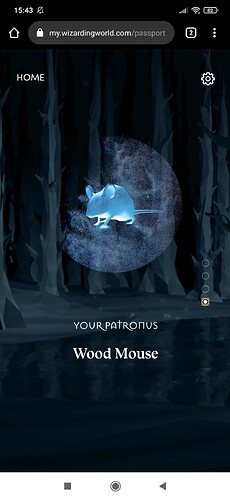 Screenshot_2021-02-13-15-43-51-570_com.android.chrome