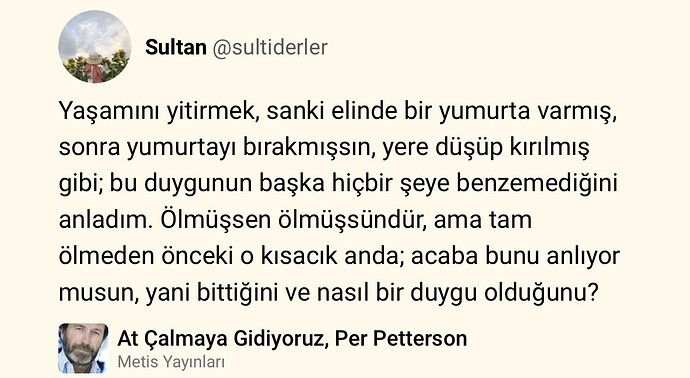 resim