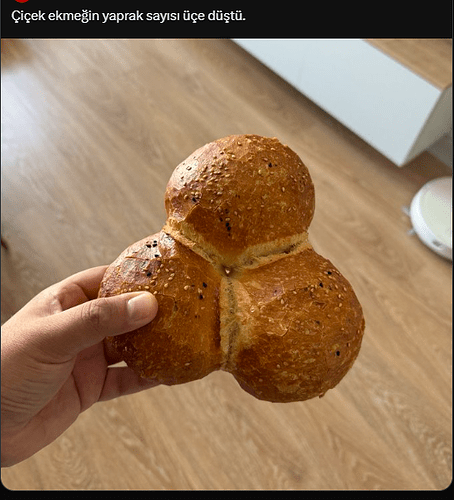 Ekran görüntüsü 2024-06-03 231104