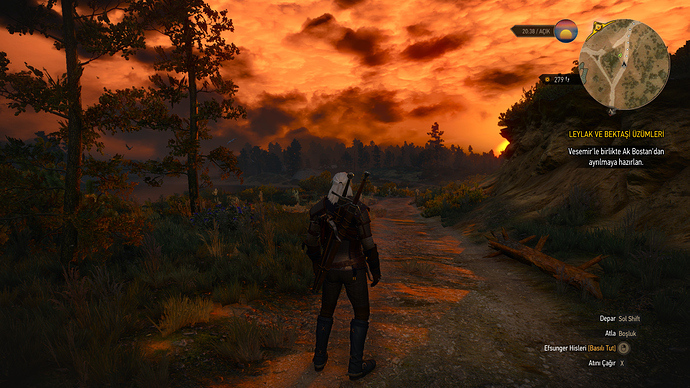 The Witcher 3 12.01.2020 15_21_24