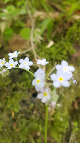 20190504_130430