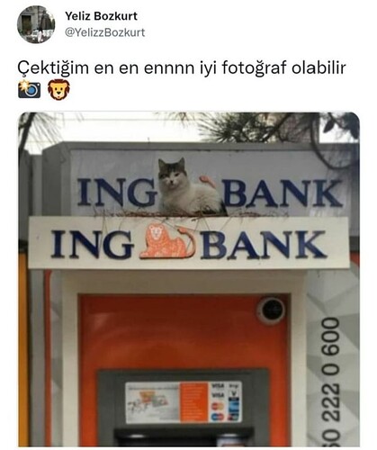 Screenshot_20220112-164703_Instagram