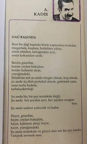 resim
