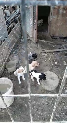 VideoCapture_20241016-141915