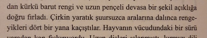 görüntü