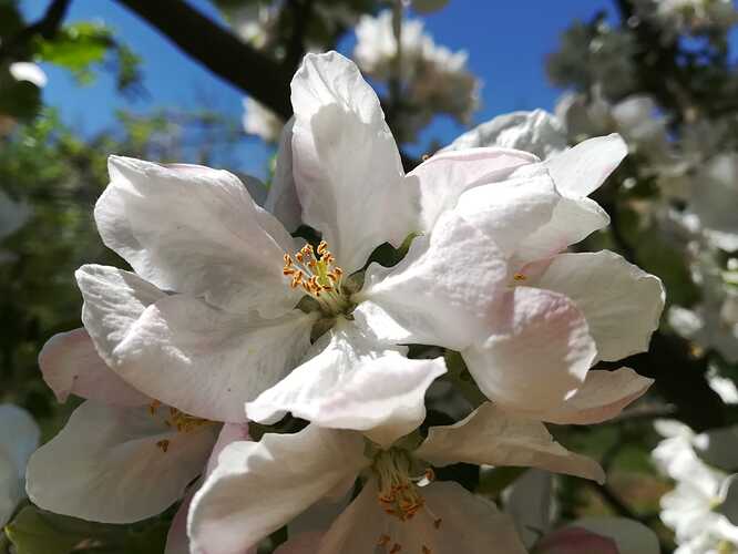 IMG-20210505-WA0006