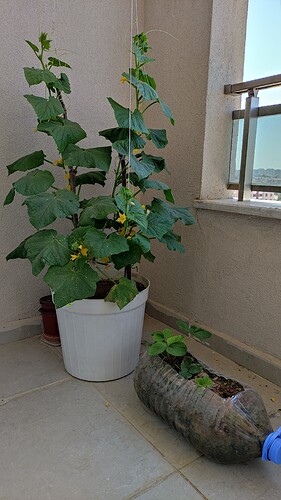 IMG_20210817_111024