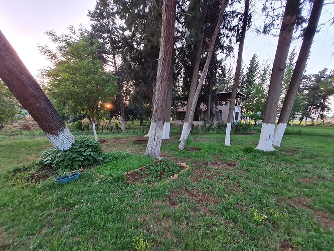 20210429_185939