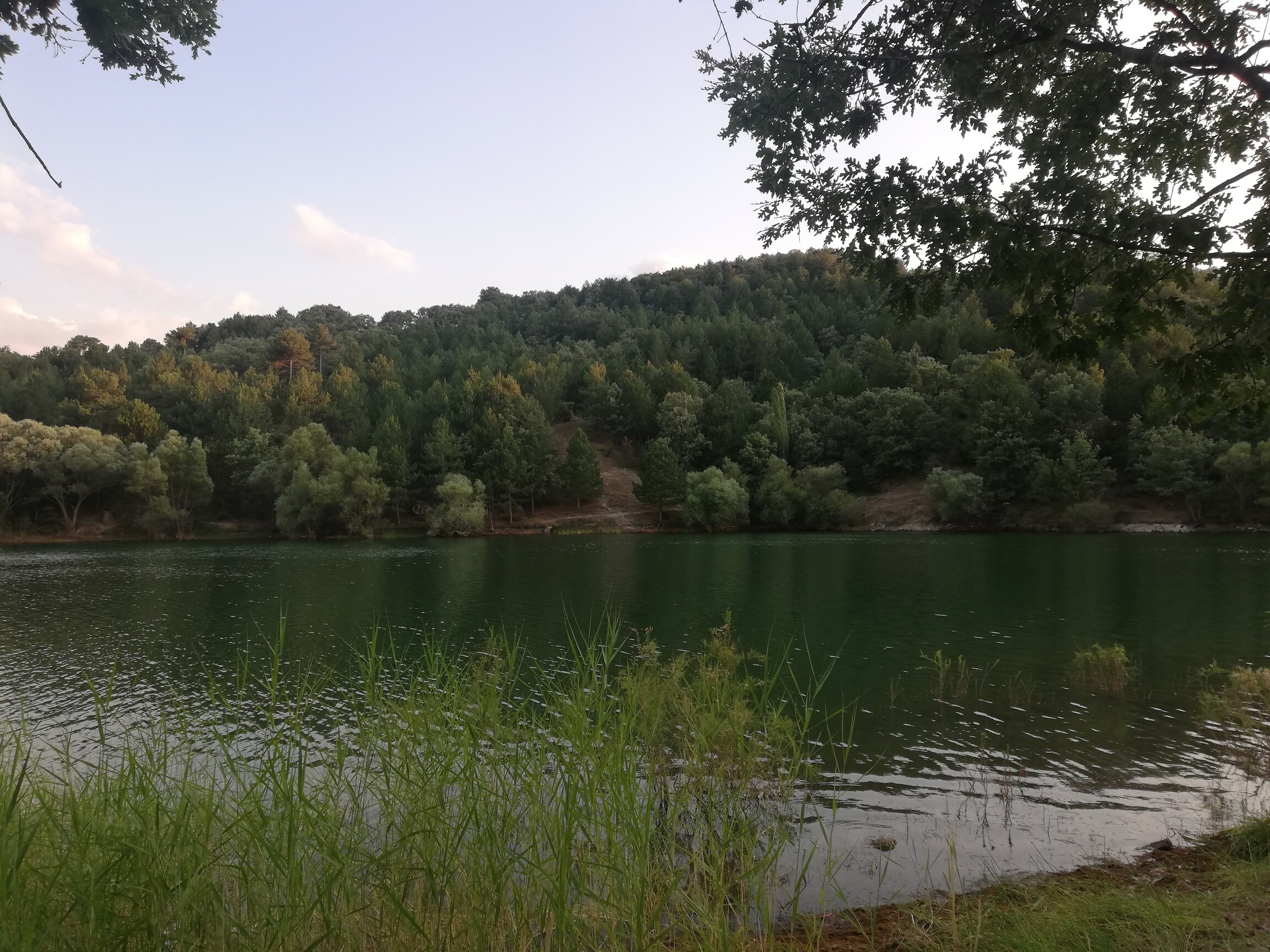IMG_20210724_194859