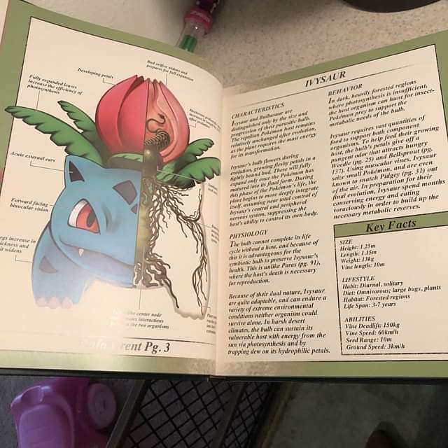 FB_IMG_1581152020924