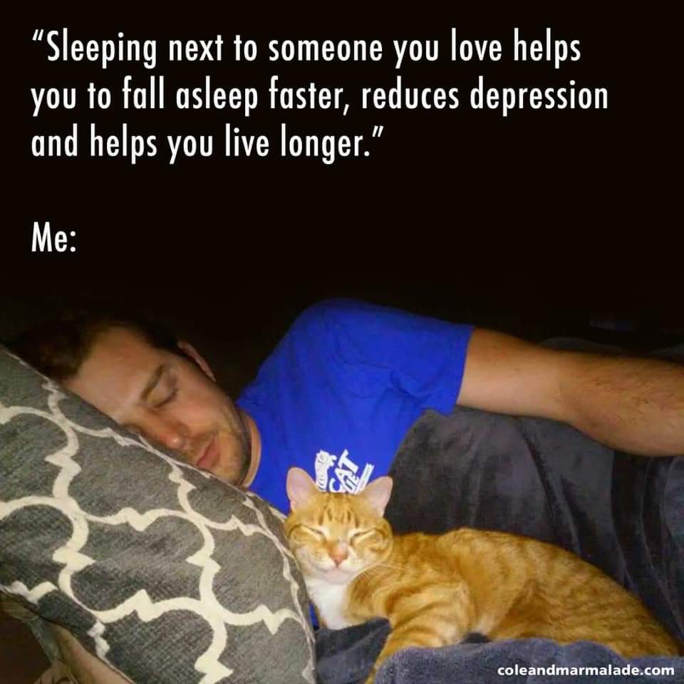 FB_IMG_1625479276938