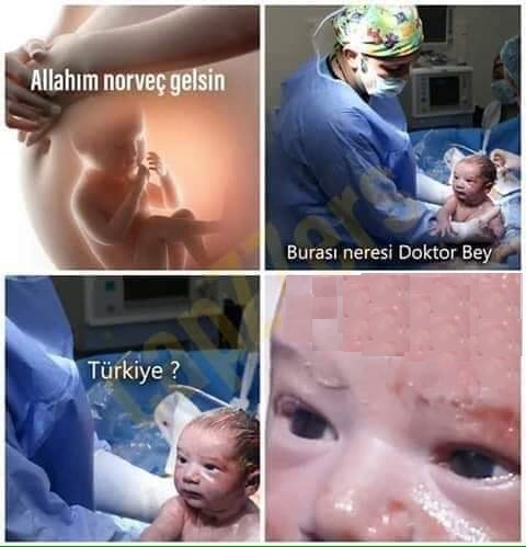 EJfNF8nWwAAWjoa